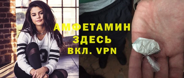 прущие грибы Арсеньев