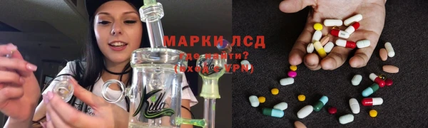 мяу мяу мука Аркадак