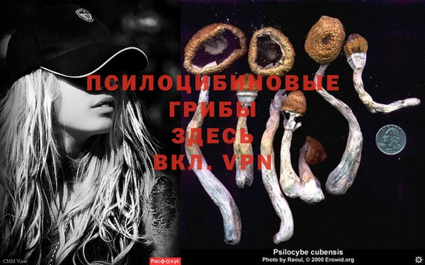 герыч Армянск