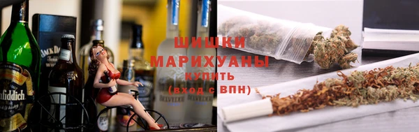 прущие грибы Арсеньев