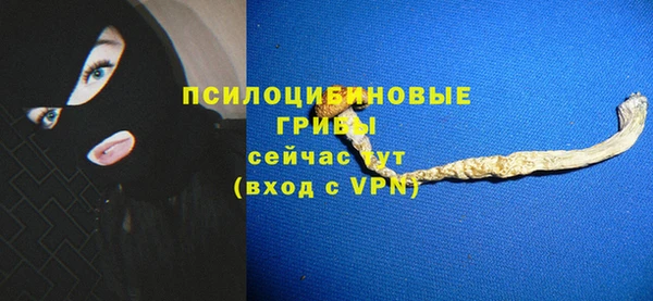 мяу мяу мука Аркадак