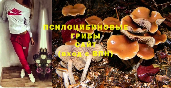 прущие грибы Арсеньев